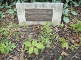 image of grave number 619066